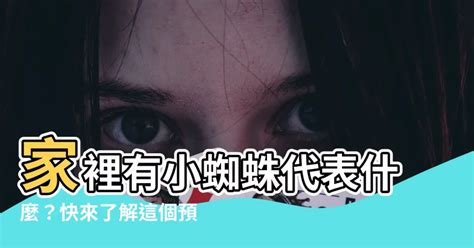 家裡有鳥巢代表什麼|與小鳥和諧共處